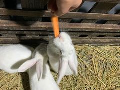 -常州海昌海洋探索馆