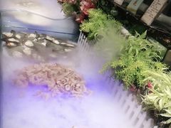 -巴犀烧烤(新崇光店)