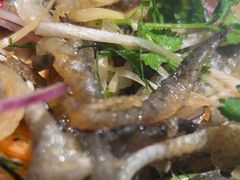 -大榕树下顺德菜(融创茂店)