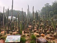 -深圳仙湖植物园