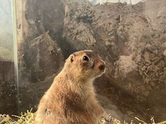 -海合安武汉极地海洋公园