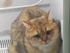 -瑞鹏宠物医院·宠保定点·心脏科·内科(御桥分院)