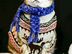 -宝岛眼镜(福中店)