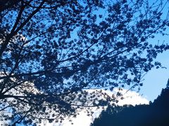 -苍山感通索道