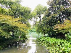 -茅家埠