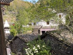 -MOJ coffee(瓯海泽雅水碓坑店)