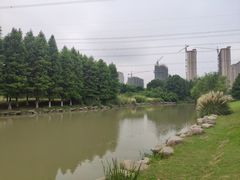 -九里河湿地公园