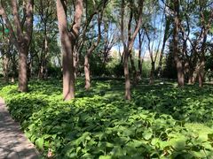 -玲珑塔公园