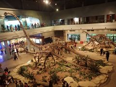 -自贡恐龙博物馆