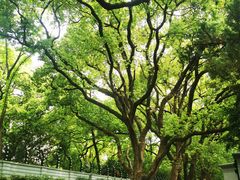 -上海宋庆龄故居纪念馆