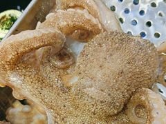-77号·蒸海鲜青岛菜(积米崖店)