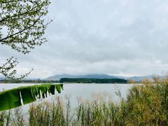 -福建鲤鱼洲酒店