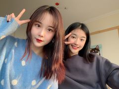 -柴犬小屋·柴餐厅·狗咖食堂(金鼎广场店)