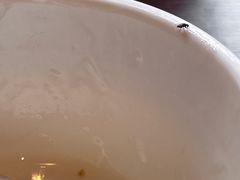 -成都娃娃花园餐厅 (南艺旗舰店)