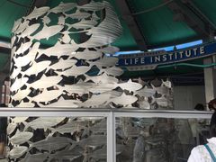 -海底巡游艇:尼莫和好友的海洋世界