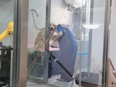 -宠福鑫康馨动物医院·骨科·眼科