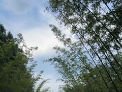 -婺源月亮湾