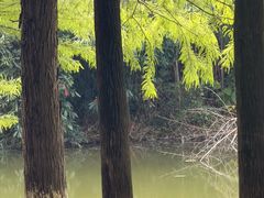 -艾溪湖湿地公园