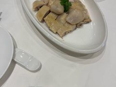 -金河半岛园林酒家(金融城店)
