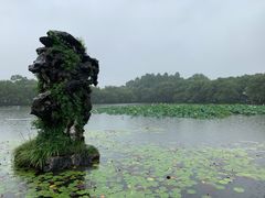 -西湖游船