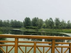 -东郊湿地公园