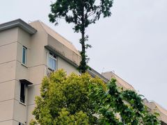 -老盛兴汤包馆(临汾店)