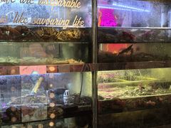 -桥东喜碧海鲜街(水东街店)