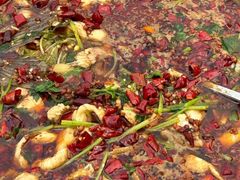 麻辣石锅鱼-沣峪鱼庄