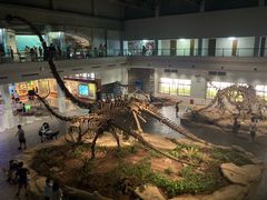 -自贡恐龙博物馆
