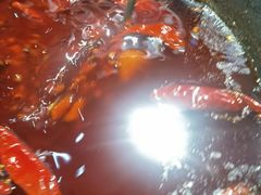 -三个四川人火锅(华联商厦店)