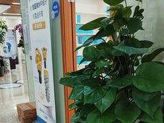-茂菊口腔连锁(浦东南路店)