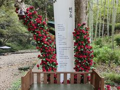 -水墨汀溪风景区