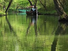 -野蔓果·山野菜(西湖景区·龙井茶田店)