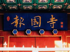 -报国寺