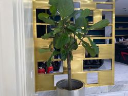 -3AM HAIR SALON染发接发