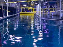 -迪拜水族馆及水下动物园