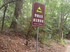 -紫金山山顶公园