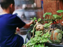 -新疆狼爷烤肉(宋庄店)