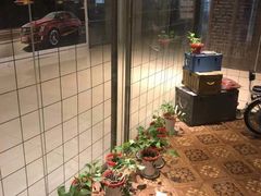 -真枪会射击俱乐部(河西中央公园店)