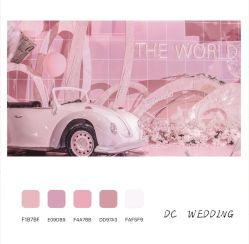 -DC大蔡婚礼策划(李公堤店)