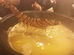 花竹虾-鲜入围煮花胶鸡海鲜火锅