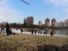 -大宁灵石公园西门票处
