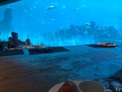 -海棠湾洲际-涛·海底餐厅·美人鱼·自助餐·海底隧道
