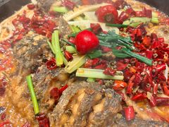 -老板恋上鱼(恒隆广场店)