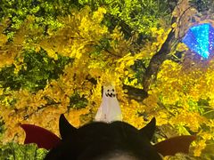 -横店影视城梦幻谷园区