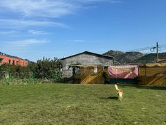 -趣玩宠物乐园寄养训犬训狗游泳池