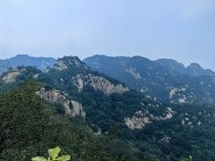 -大岭沟猕猴桃谷风景区