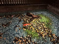-手佳·水疗汇(嘉益店)