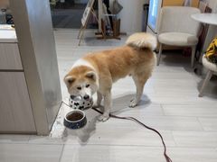 -YCHL Studios健身工作室(市二宫店)