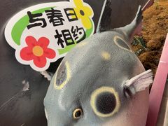 -肆月河豚·新淮扬菜·烤鸭(中关村店)